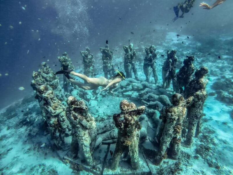 From Bali: Private Gili Islands Snorkeling All-Inclusive - Pricing and Value