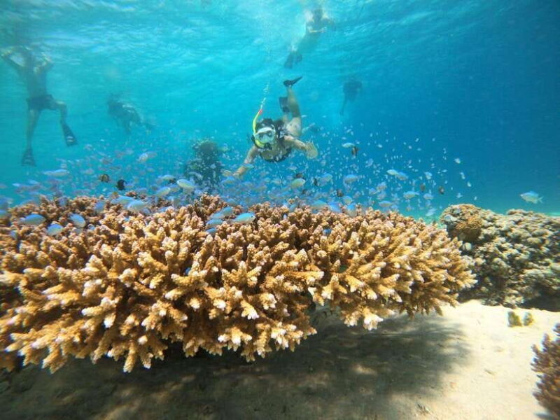 From Bali: Private Gili Islands Snorkeling All-Inclusive - Final Thoughts