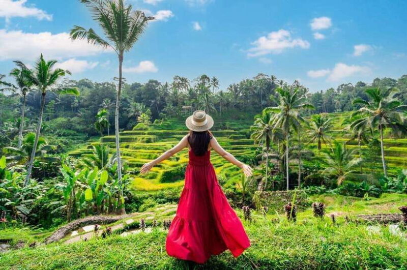 From Bali: Saraswati Temple, Monkey Forest, Ubud Waterfalls - Key Points