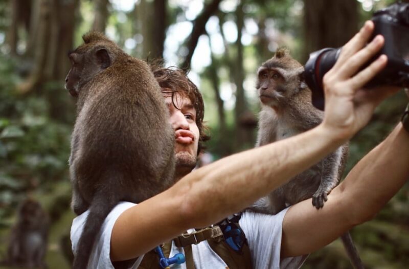 From Bali: Saraswati Temple, Monkey Forest, Ubud Waterfalls - Good To Know