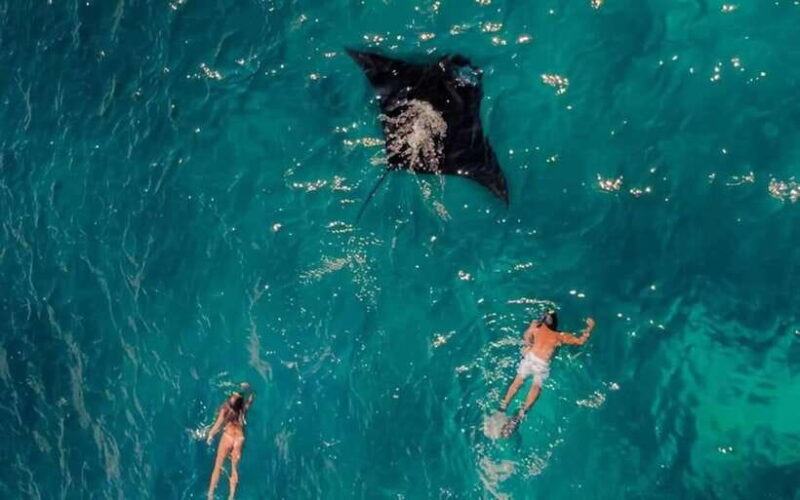 From Bali: Snorkeling 3 Spots To Nusa Penida & Lembongan - The Itinerary in Detail