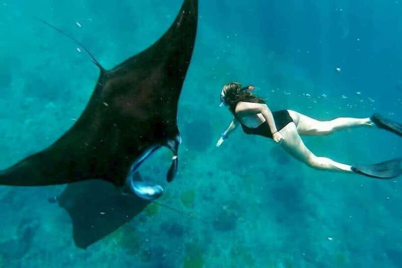 From Bali: Snorkeling 3 Spots To Nusa Penida & Lembongan - Practical Considerations and What To Expect