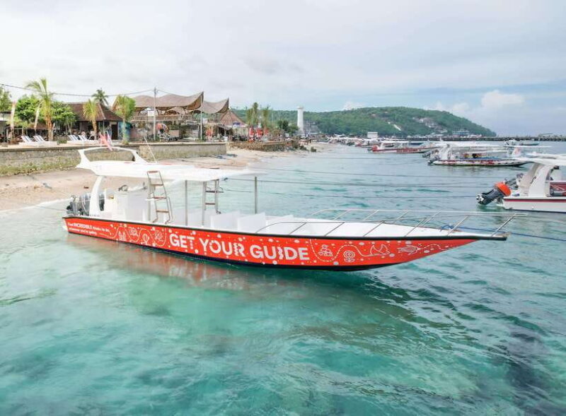 From Bali: Snorkeling at Manta Point Nusa Penida & Land Tour - Who Will Love This Tour?