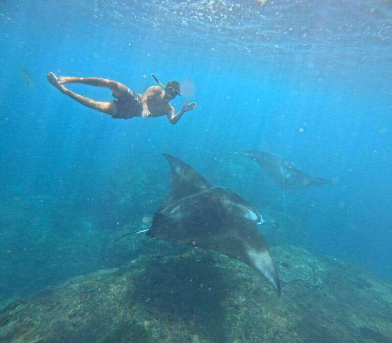 From Bali : Snorkeling & Nusa Penida Island Tour with Lunch - Key Points