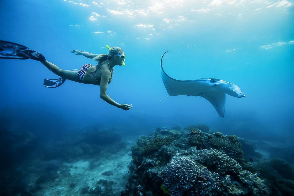 From Bali: Swim With Manta Rays in Nusa Penida - Snorkeling Spots
