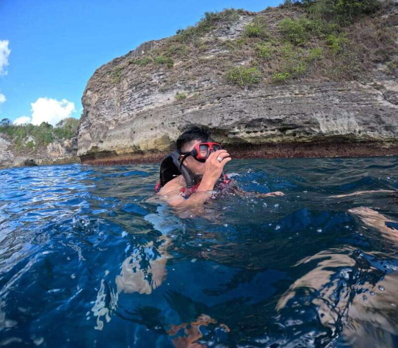 From Bali: Swim with Manta & T-rex Beach All inclusive Tour - The Sum Up