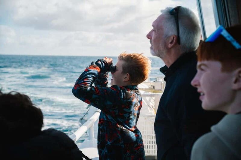 From Baltimore Boat Tour: Fastnet Rock Lighthouse - Comfort, Safety, and Practical Tips