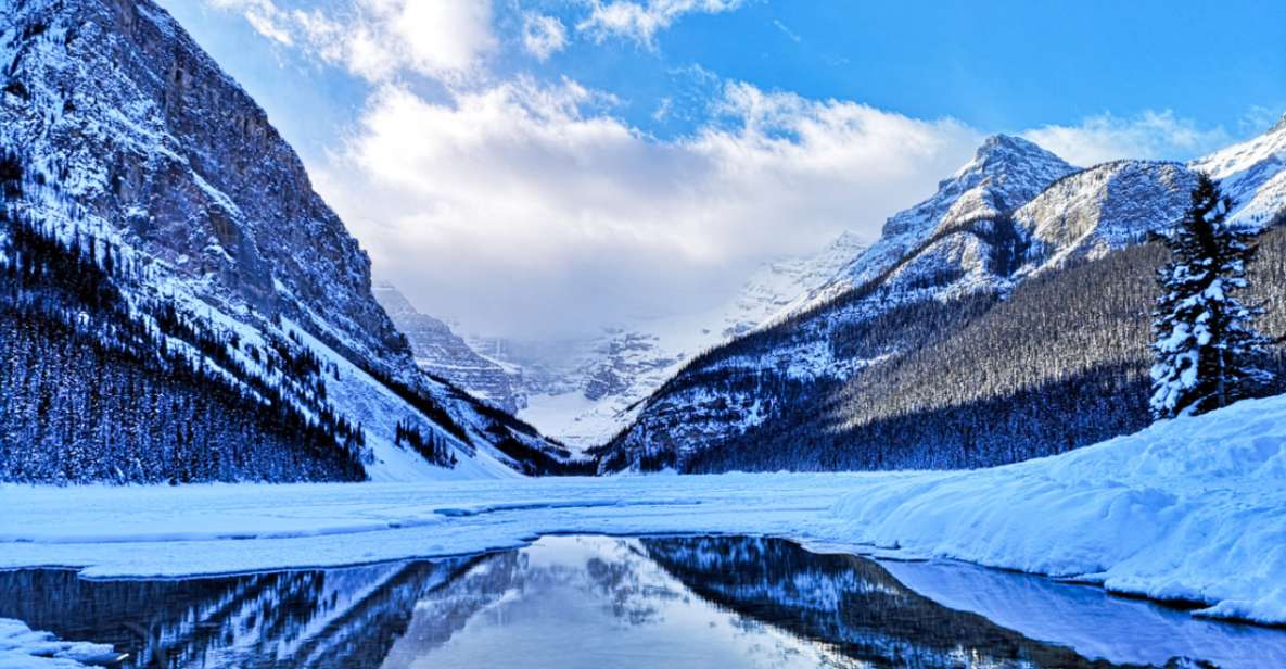 From Banff & Canmore: Lake Louise Winter Experience - Key Points
