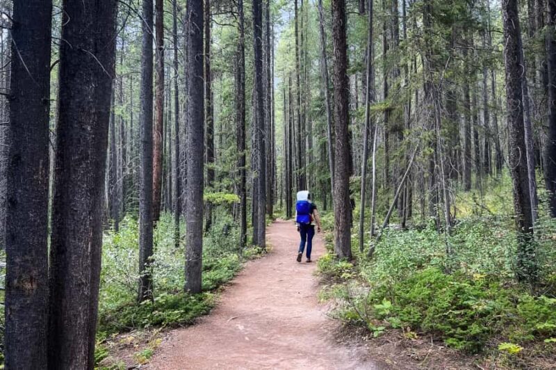 From Banff: Grassi Lake and Grotto Canyon Half day tour - Who Will Love This Tour?