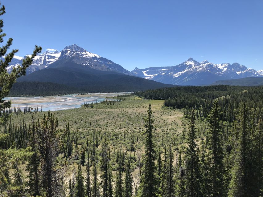 From Banff: Icefield Parkway Scenic Tour With Park Entry - Discover Banff National Park