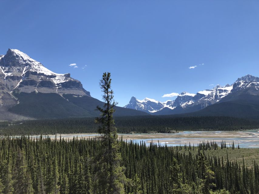 From Banff: Icefield Parkway Scenic Tour With Park Entry - Witness Stunning Lake Louise