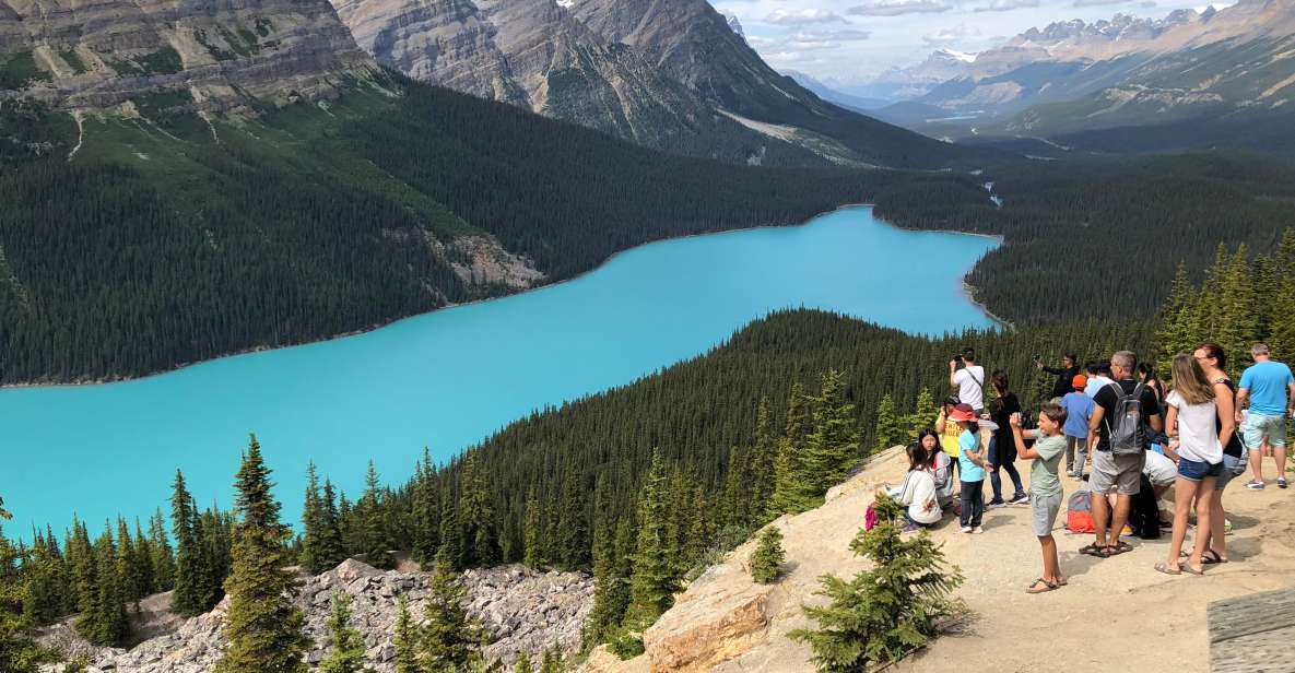 From Banff: Icefield Parkway Scenic Tour With Park Entry - Marvel at Bow Lake