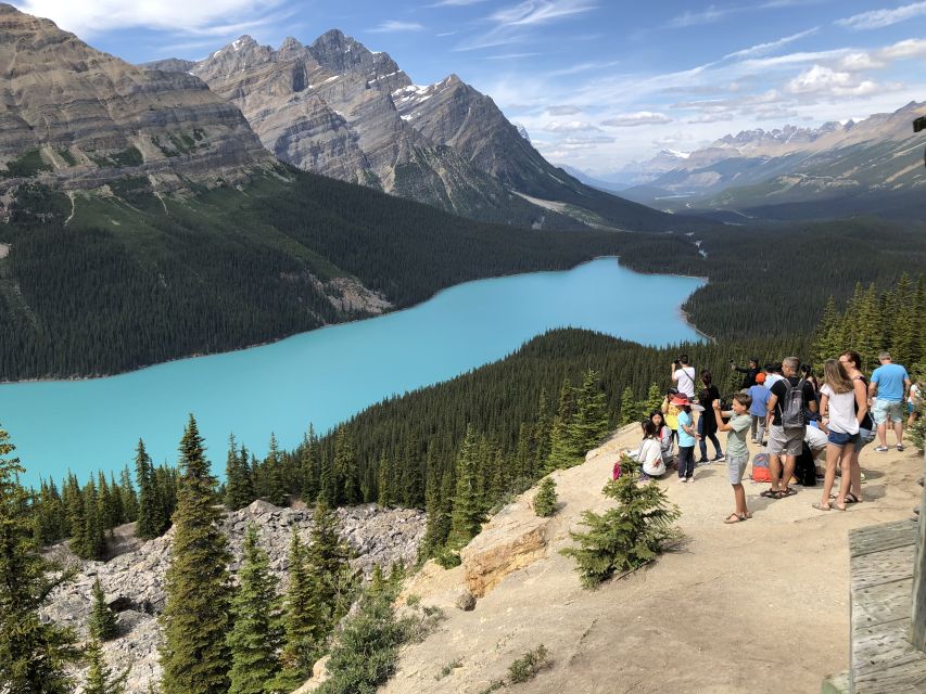 From Banff: Icefield Parkway Scenic Tour With Park Entry - Admire Peyto Lake