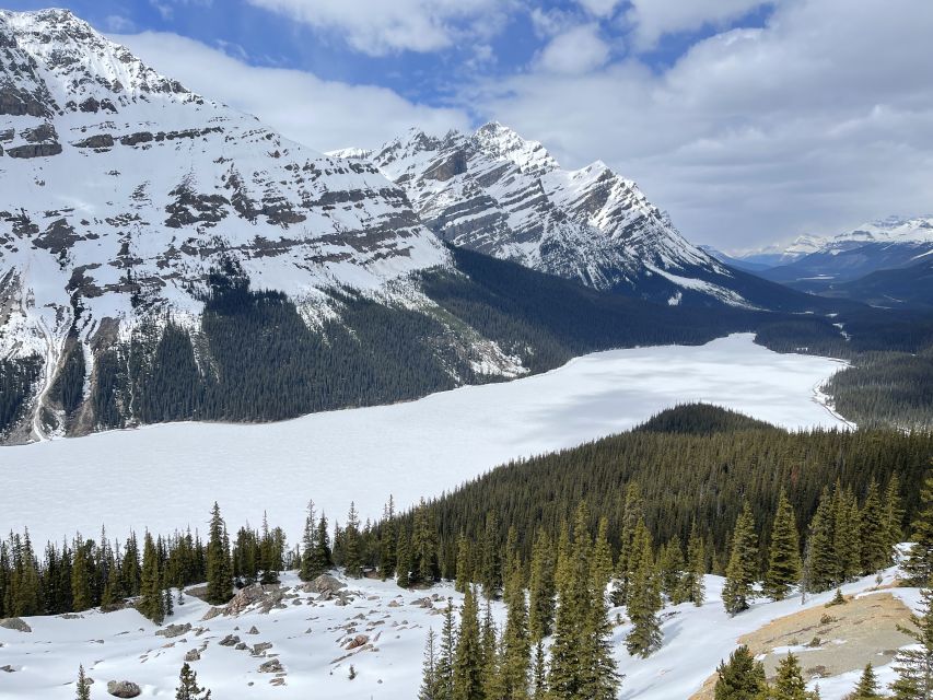 From Banff: Icefield Parkway Scenic Tour With Park Entry - Hike Mistaya Canyon
