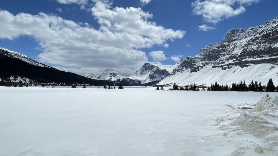 From Banff: Icefield Parkway Scenic Tour With Park Entry - Traverse Howse Pass