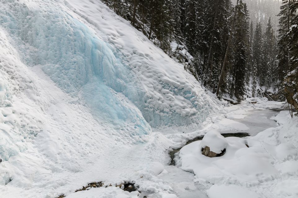 From Banff: Johnston Canyon Guided Icewalk - Restrictions and Limitations