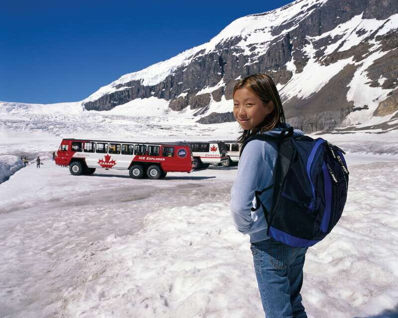 From Banff/Lake Louise: 1-Way Sightseeing Tour to Jasper - The Athabasca Glacier and Skywalk