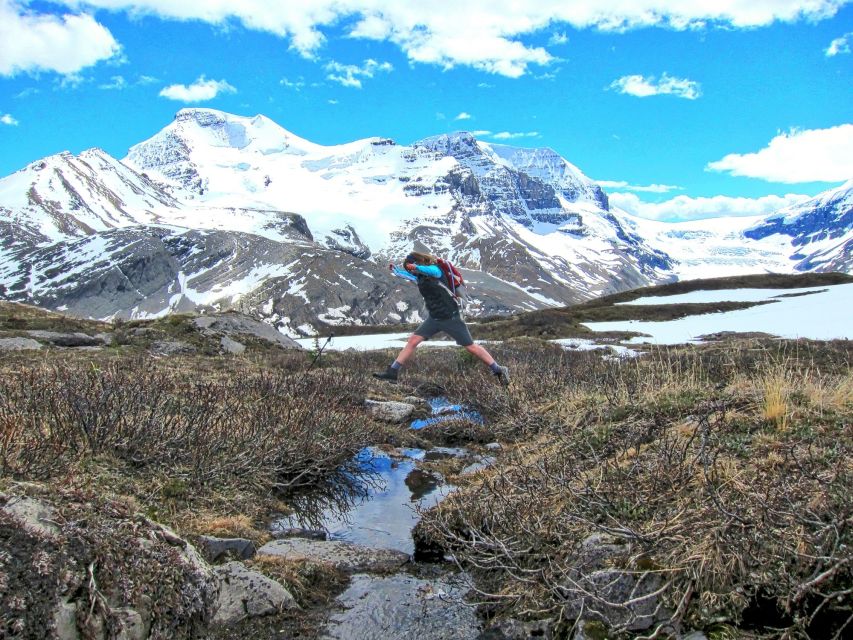 From Banff/Lake Louise: 1-Way Sightseeing Tour to Jasper - Athabasca Glacier Adventure