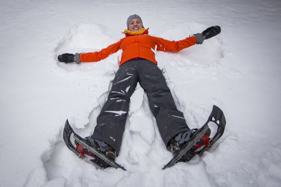 From Banff: Snowshoeing Tour in Kootenay National Park - Meeting Point and Transportation