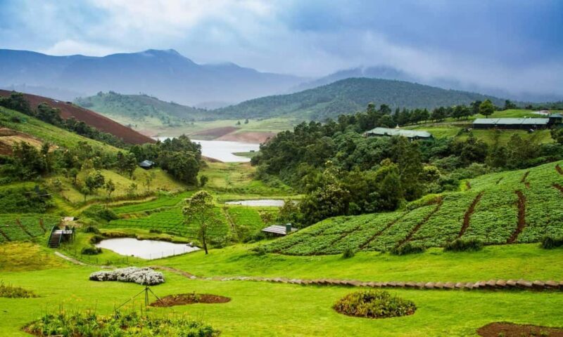 From Bangalore: 7 Days Coorg & Hassan Heritage Private Tour - Key Points