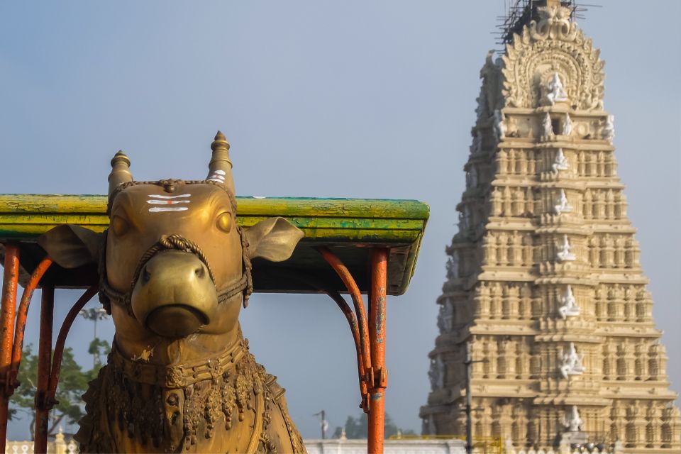 From Bangalore: Mysore Guided Day Tour With Transfers - Transportation Details