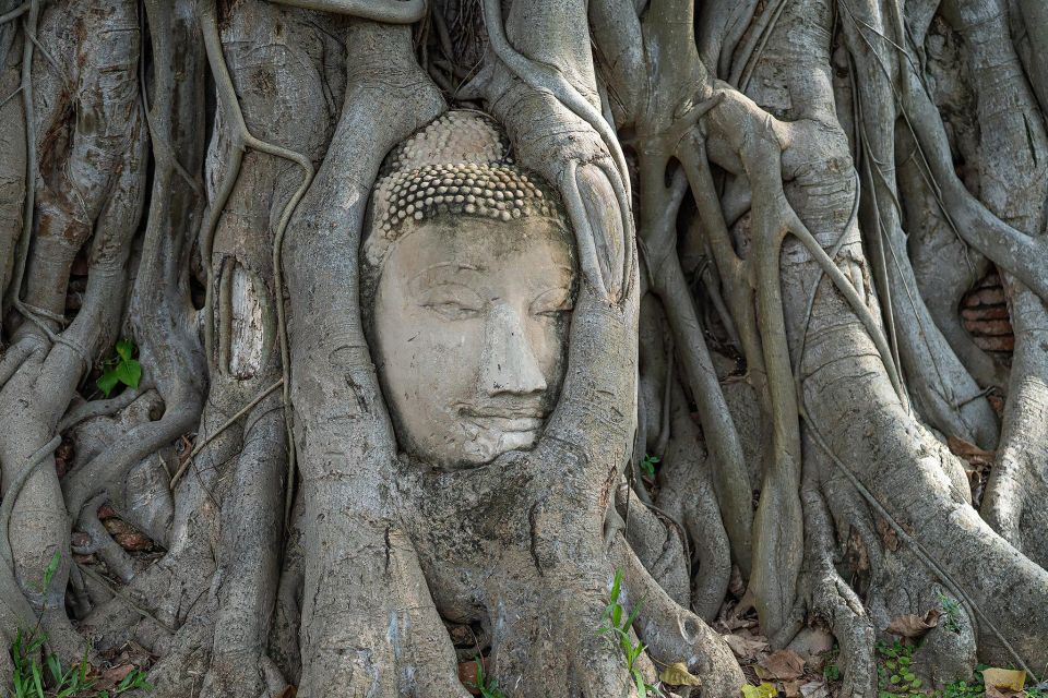 From Bangkok: Ayutthaya Day Tour Small Group - Key Points