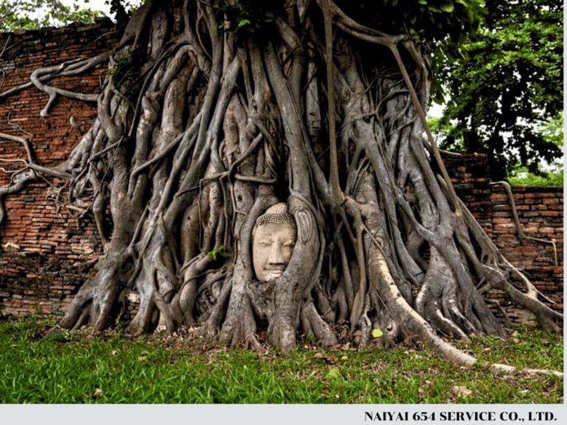 From Bangkok: Ayutthaya & Floating Market Private Day Trip - Contact and Last-Minute Bookings