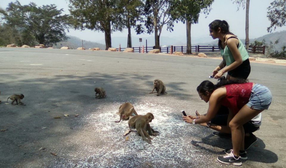 From Bangkok: Ayutthaya & Khao Yai National Park Day Trip - Exploring Khao Yai National Park