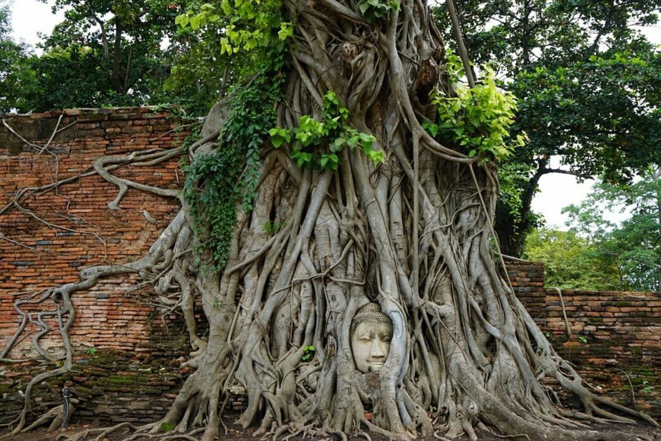 From Bangkok: Ayutthaya & Khao Yai National Park Day Trip - Inclusions and Exclusions