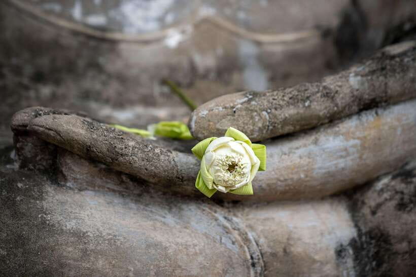 From Bangkok: Ayutthaya Temples and Boat Tour With Lunch - Exploring Bang Pa-In Royal Palace