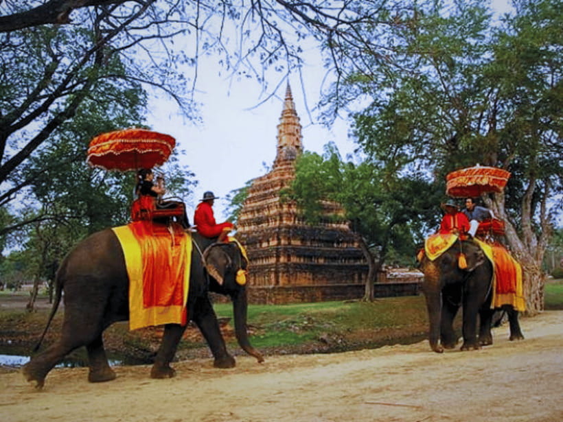 From Bangkok: Ayutthaya Tour, Elephant Palace & Royal Kraal - Tour Overview