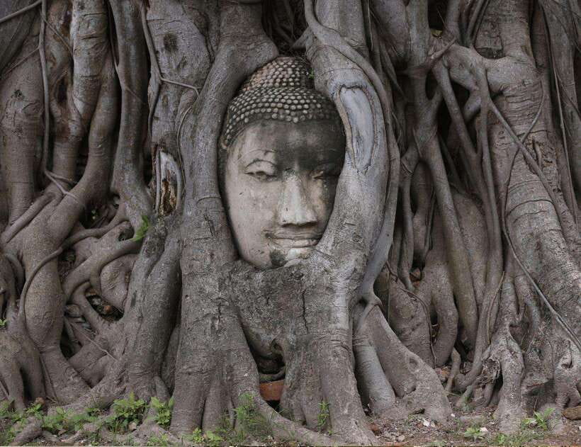 From Bangkok: Customizable Ayutthaya Full-Day Guided Tour - Key Points