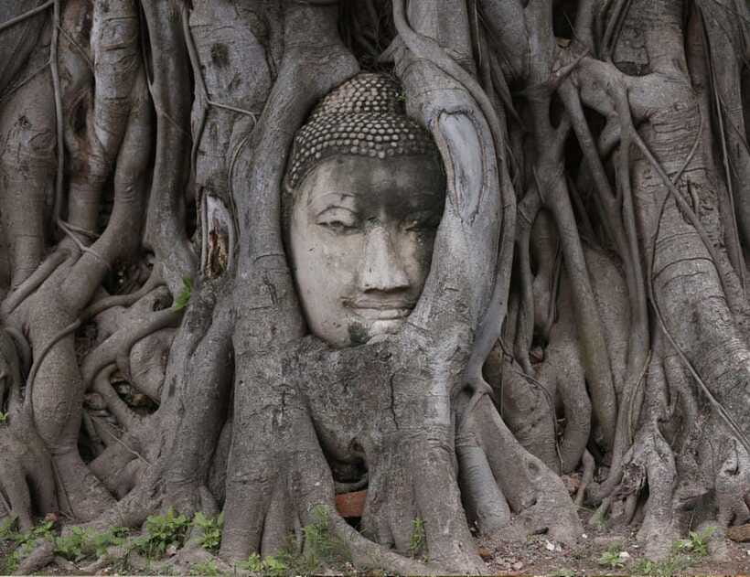 From Bangkok: Customizable Ayutthaya Full-Day Guided Tour - Customer Feedback