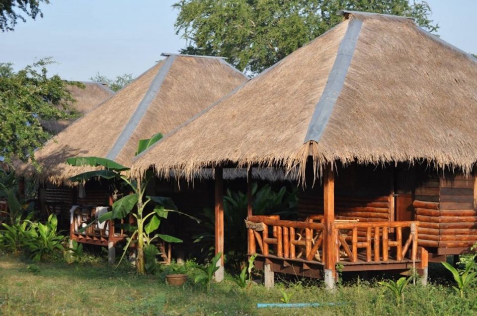 From Bangkok: ElephantsWorld Kanchanaburi 2-Day Experience - Preparing Food and Feeding Elephants