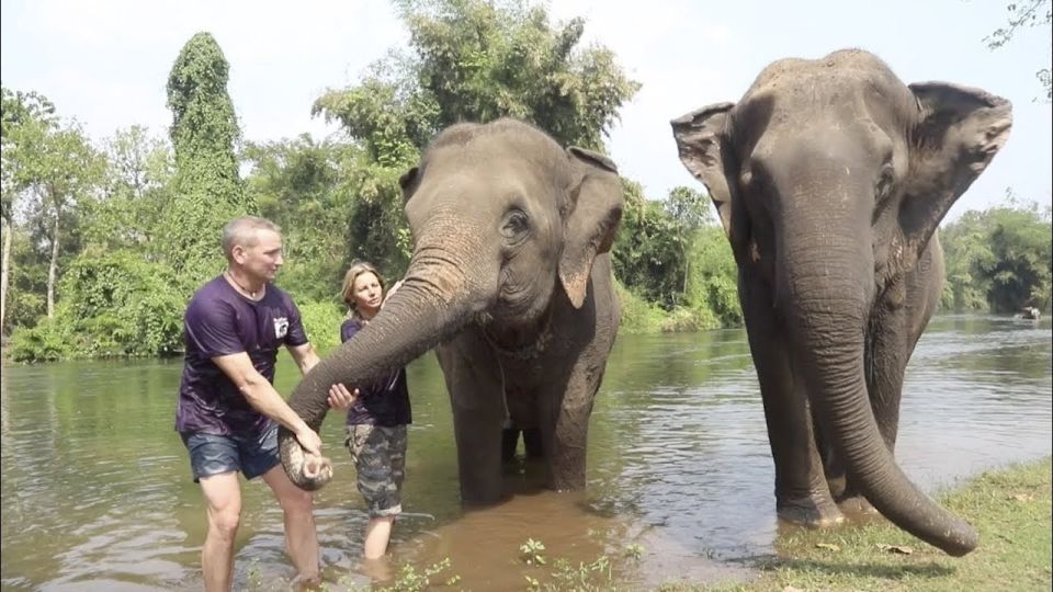 From Bangkok: ElephantsWorld Kanchanaburi 2-Day Experience - Optional Mountain Hike