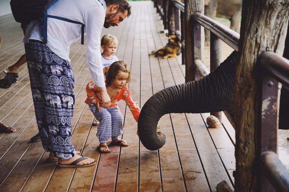 From Bangkok: ElephantsWorld Kanchanaburi 2-Day Experience - Inclusions and Exclusions