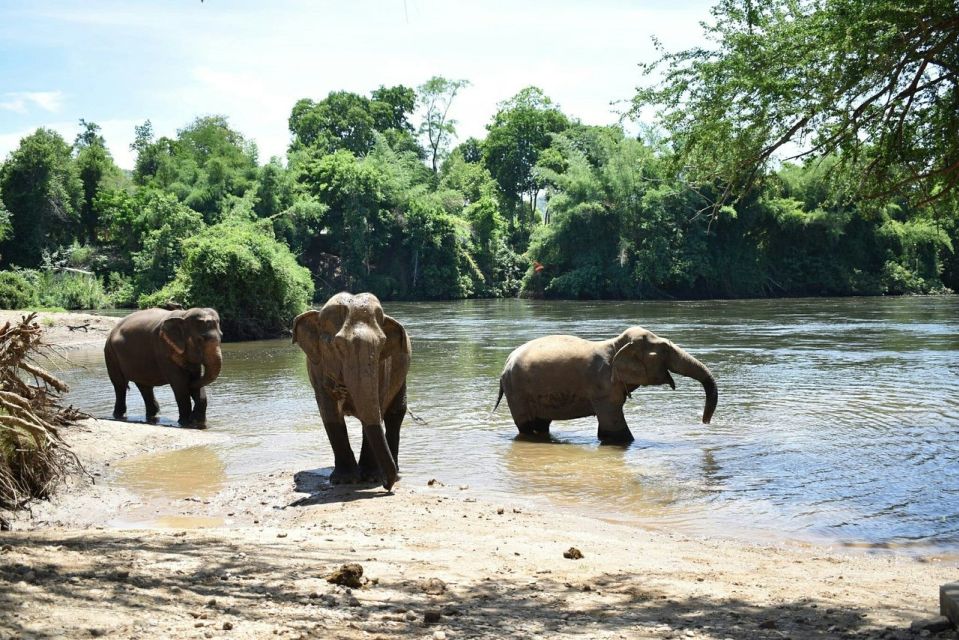 From Bangkok: ElephantsWorld Kanchanaburi 2-Day Experience - Frequently Asked Questions