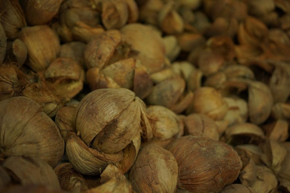 From Bangkok: Floating Market and Ayutthaya Guided Day Tour - Cancellation Policy