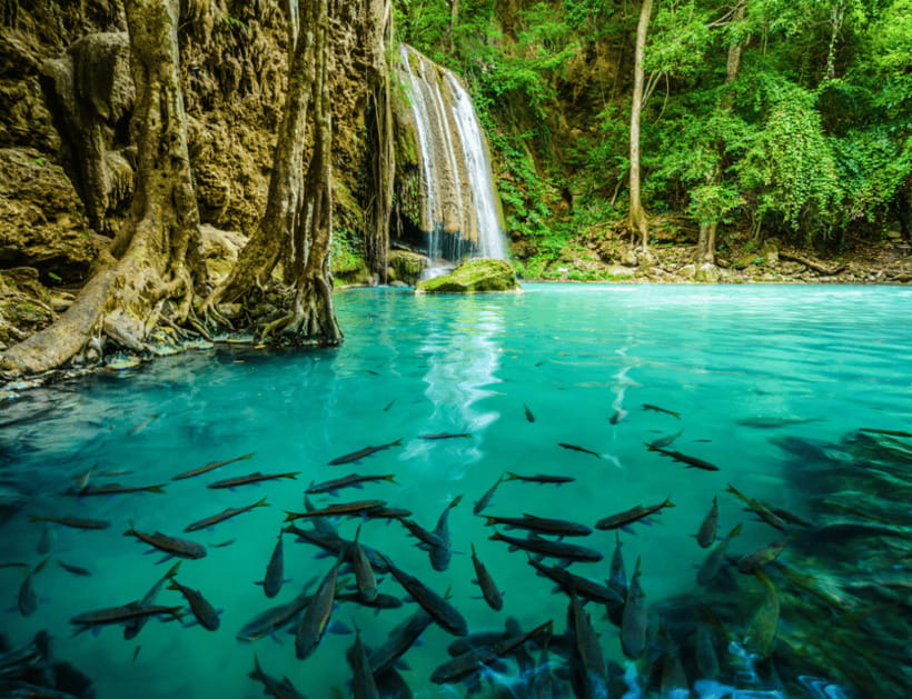 From Bangkok: Kanchanaburi, River Kwai & Erawan Falls Tour - Overview and Pricing