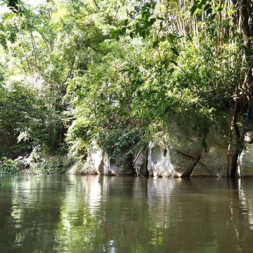From Bangkok: Khao Yai National Park Day Trip - Tour Guidelines and Restrictions