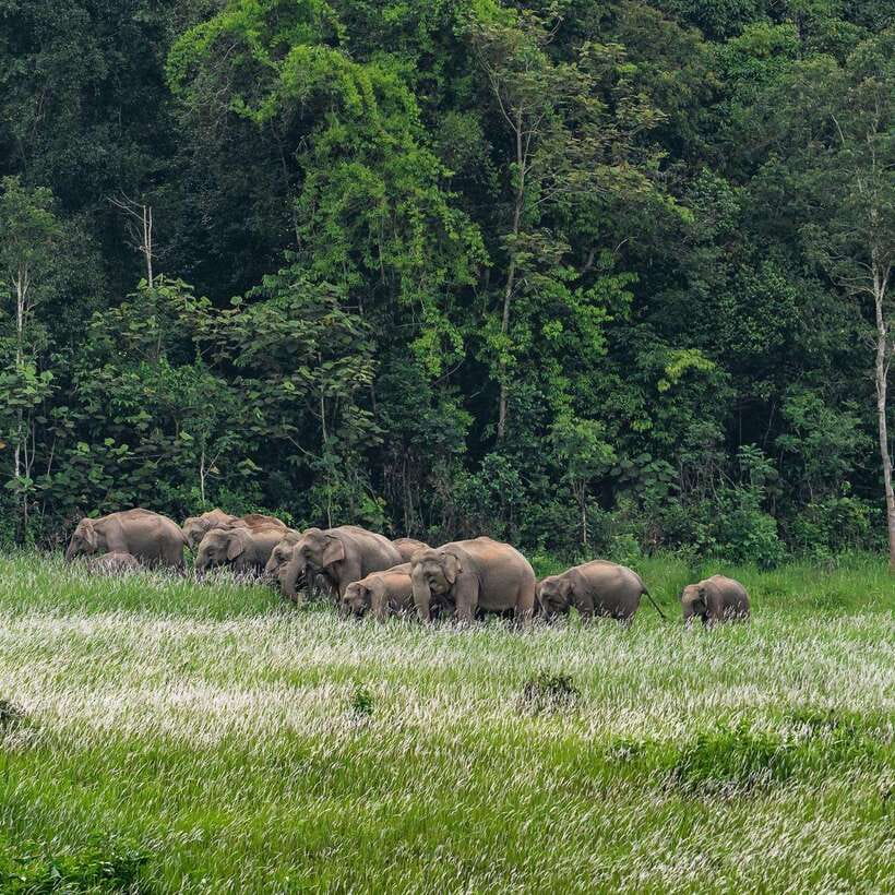 From Bangkok: Khao Yai National Park Day Trip - Booking and Cancellation Policy