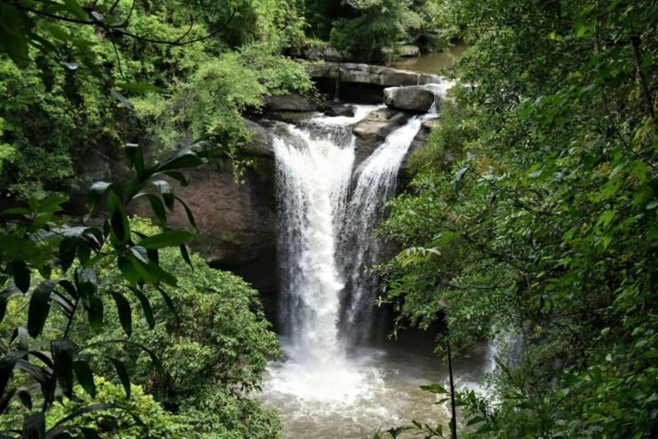 From Bangkok: Khao Yai National Park Jungle Trek With Lunch - Key Points
