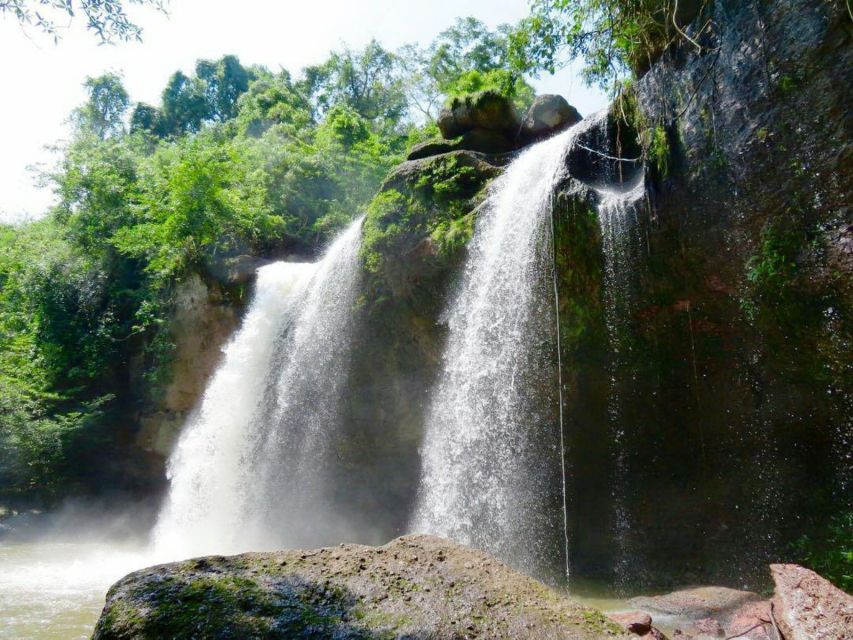 From Bangkok: Khao Yai National Park Jungle Trek With Lunch - Guided Jungle Trekking