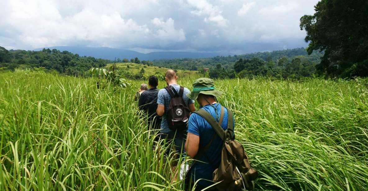 From Bangkok: Khao Yai National Park Jungle Trek With Lunch - Included in the Tour