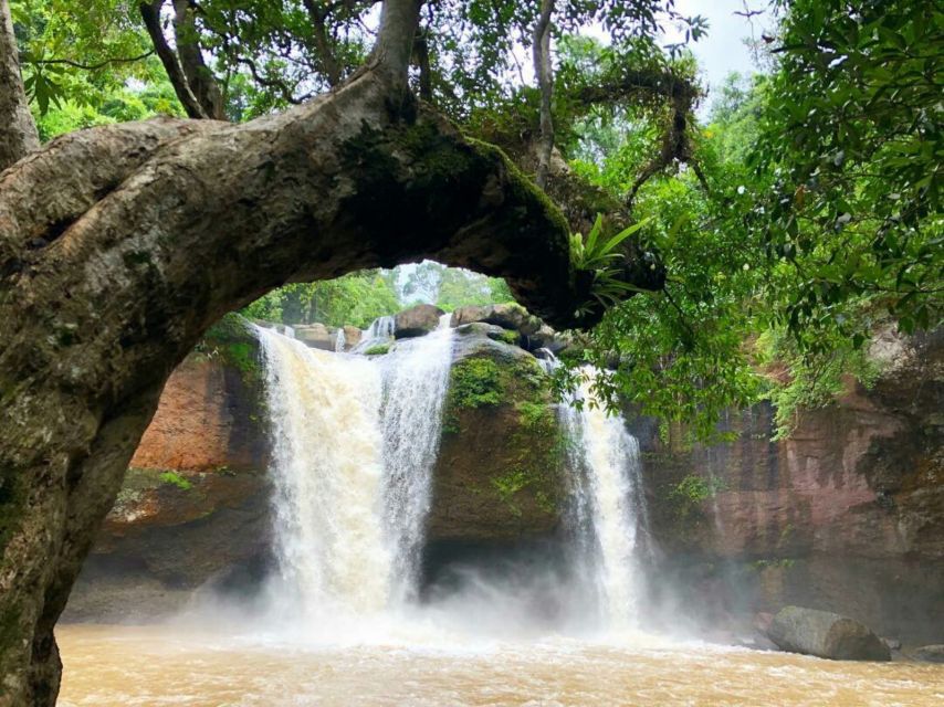 From Bangkok: Khao Yai National Park Jungle Trek With Lunch - Important Considerations