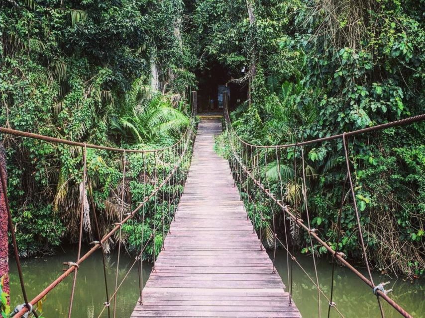 From Bangkok: Khao Yai National Park Jungle Trek With Lunch - Tour Details and Duration
