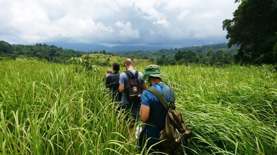 From Bangkok: Khao Yai National Park Jungle Trek With Lunch - Frequently Asked Questions