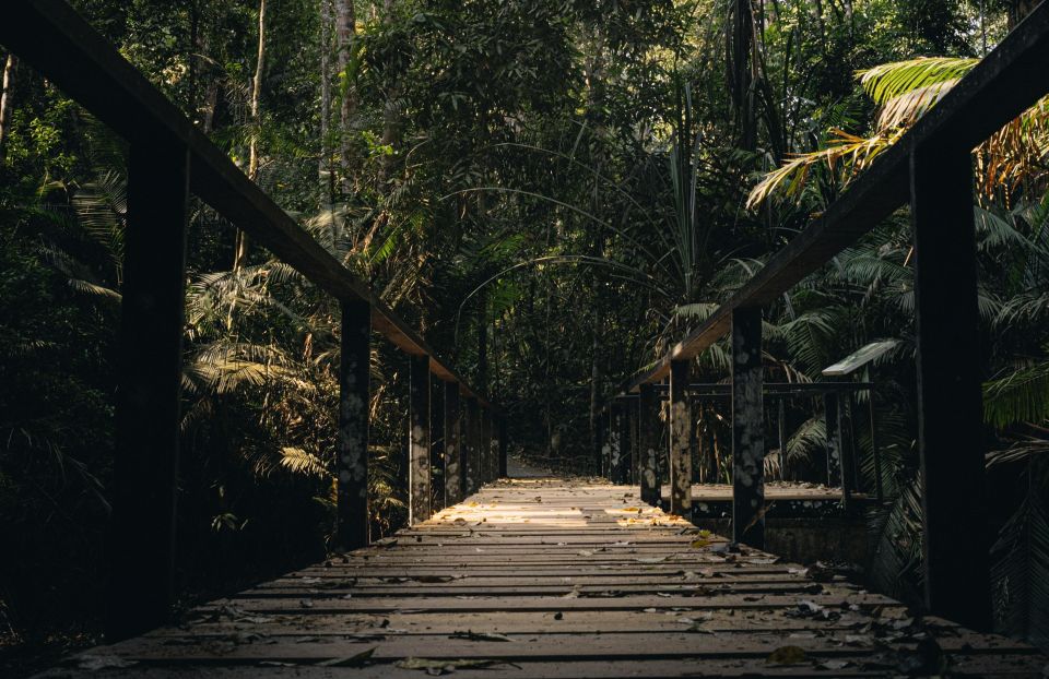 From Bangkok: Khao Yai National Park Small-Group Day Trip - Spotting Wildlife in the Park