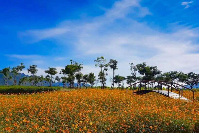 From Bangkok: Khao Yai Private Charter With Multiple Options - Overview and Pricing