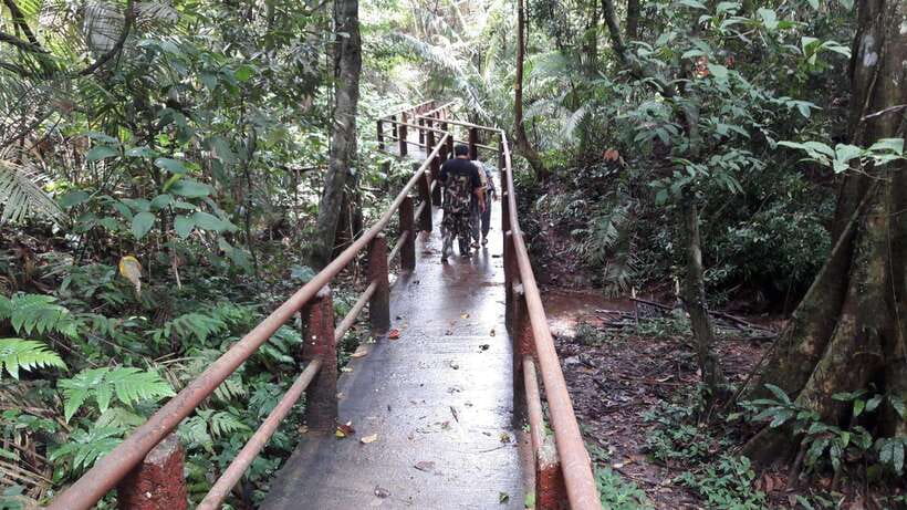 From Bangkok: Khao Yai Spectacular Waterfalls Day Trip - Scenic Stops and Return to Bangkok
